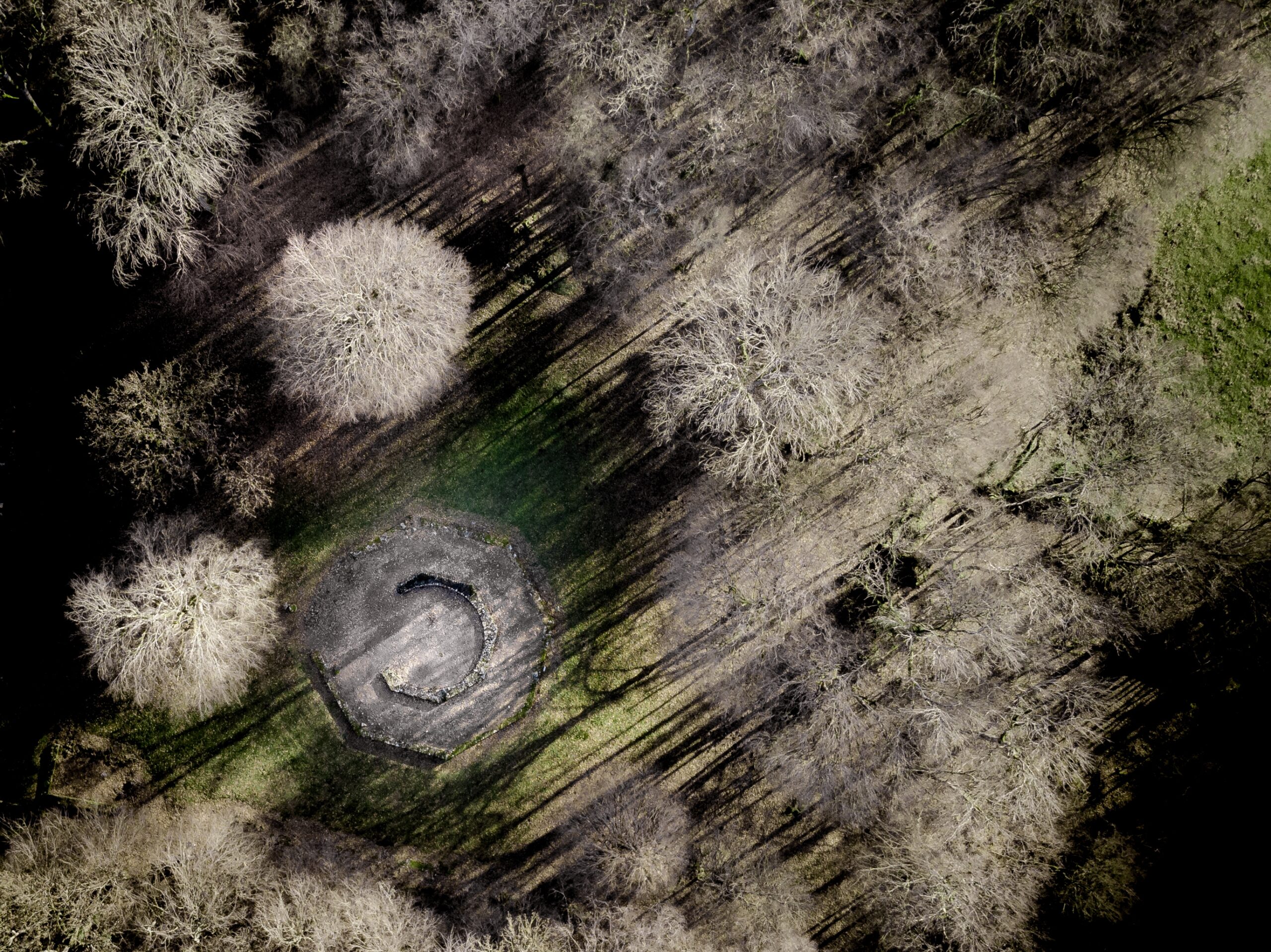 Aerial shot of a fireplace surrounded by leafless trees on a grassy field at daytime